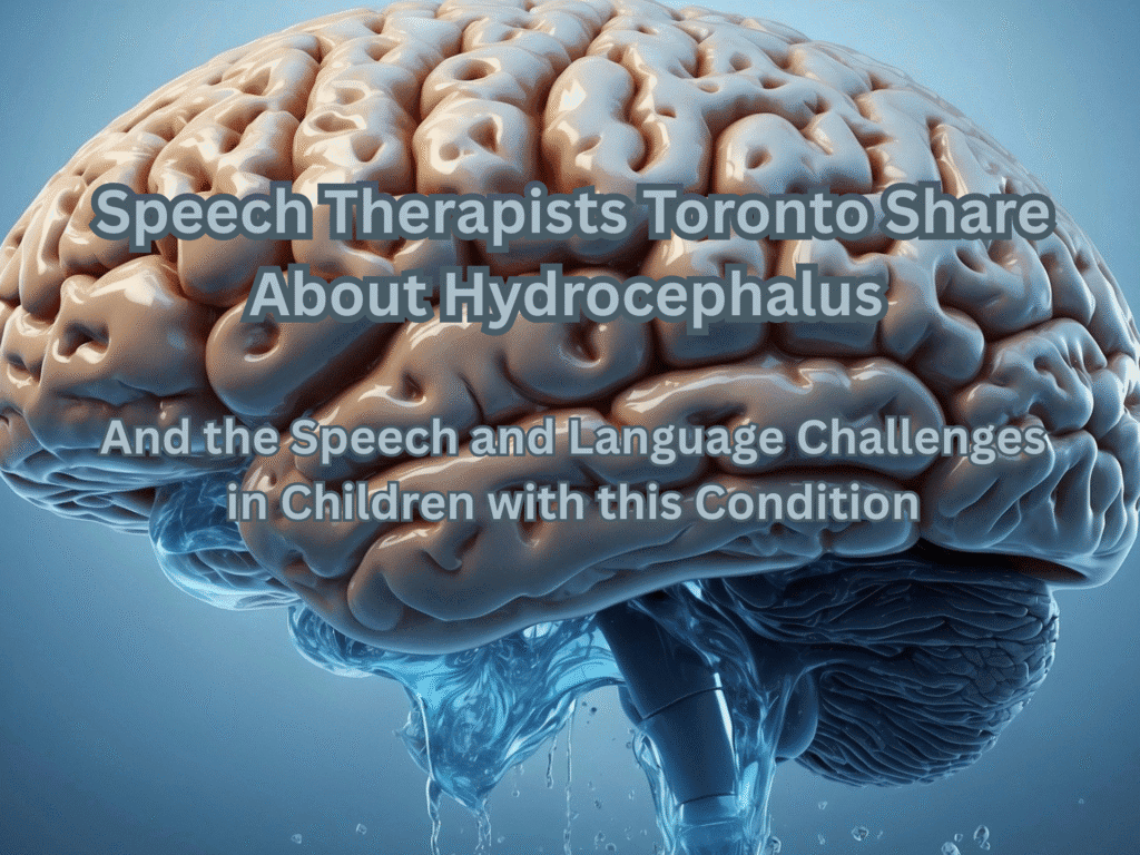 Speech Therapists Toronto Share About Hydrocephalus